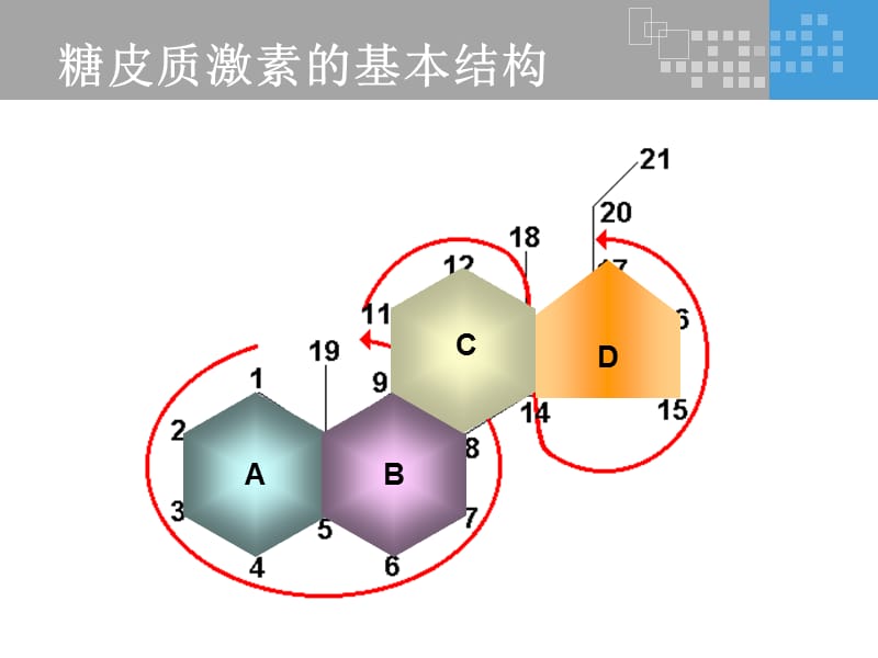 氟轻松是如何发挥其药理作用的？